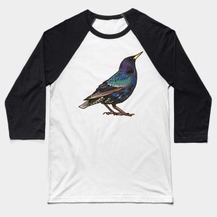 European Starling Baseball T-Shirt